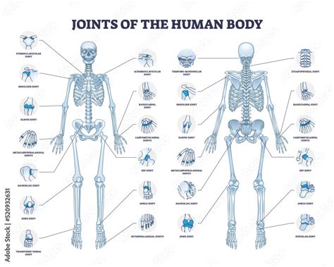 All Bodies